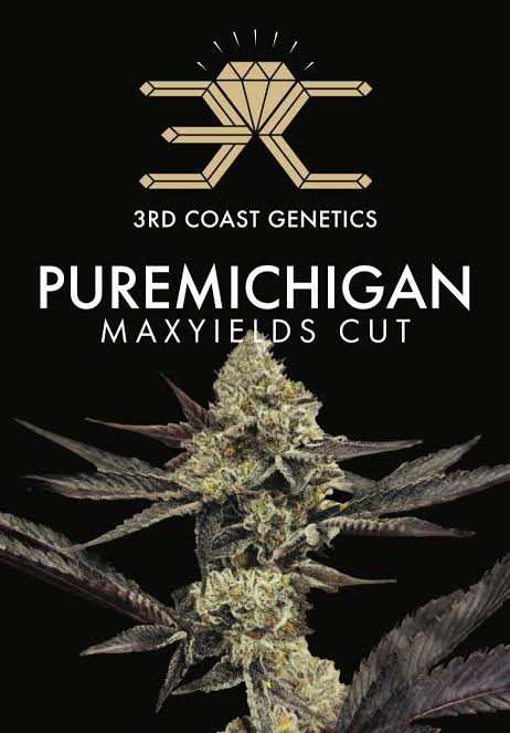 Pure Michigan